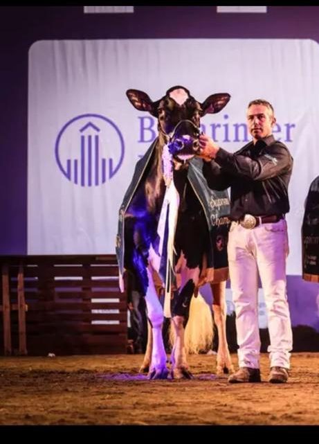 La vaca Gran Campeona Llinde Ariel Jordan gana también el International Dairy Show de Cremona