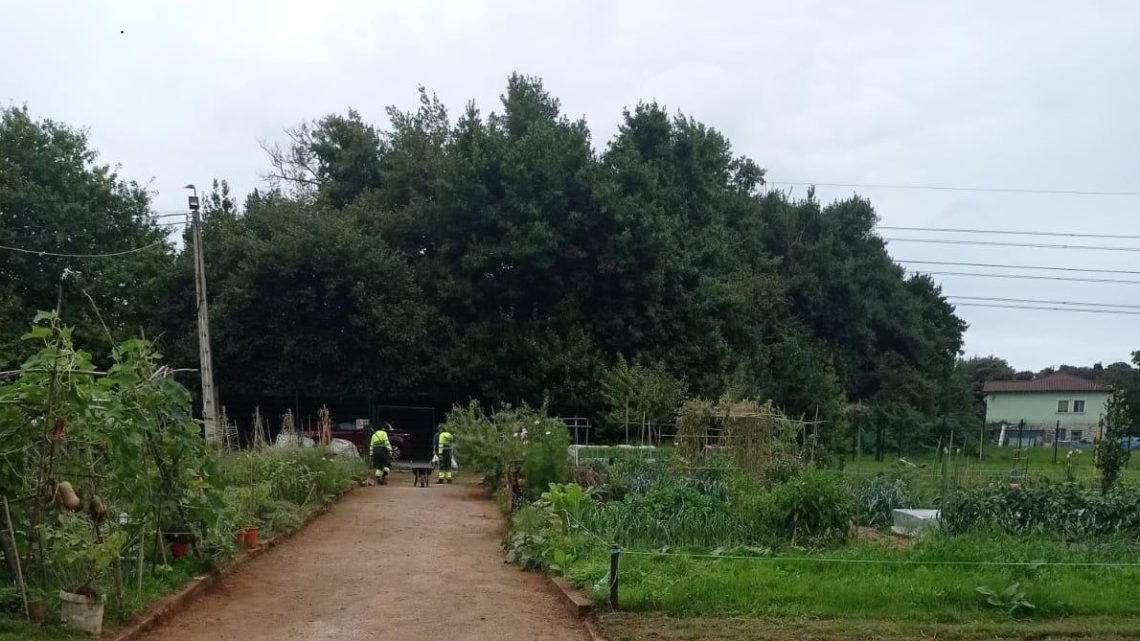 El Ayuntamiento de Camargo acomete labores de mantenimiento en 6.000 metros cuadrados de huertos ecológicos municipales